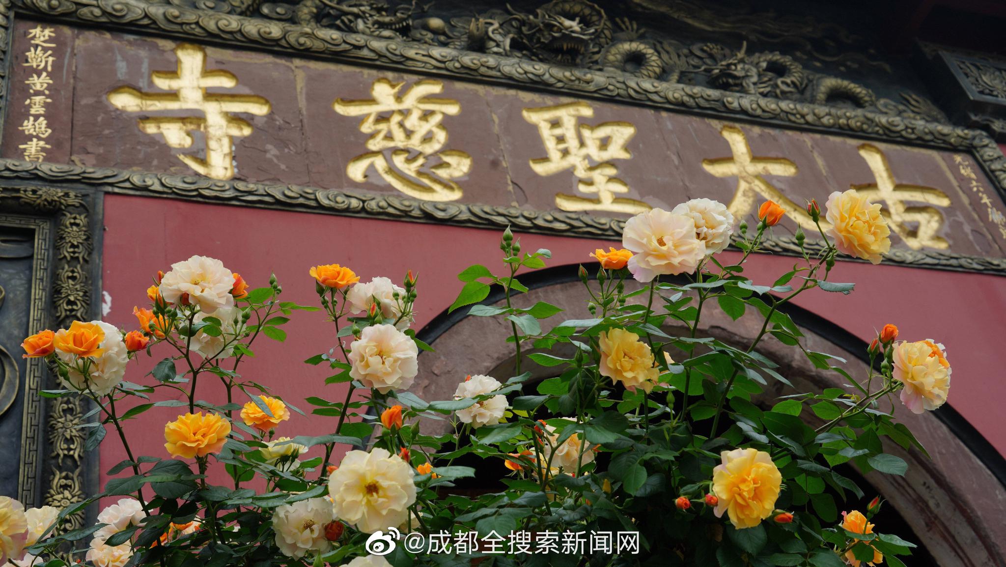 抖音联合中华书局、南开大学推出《唐诗三百首（名师抖音共读版）》
