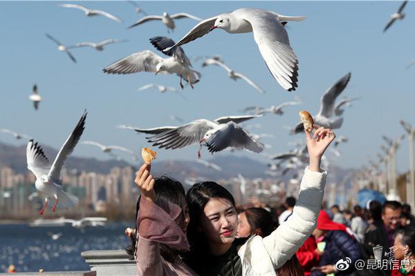 【杭州亚运会】“场地海鲜都很棒，我爱这里！”杭州亚运会技术代表花式表白